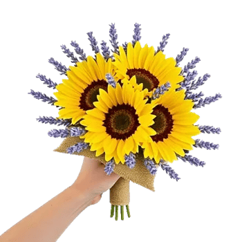 Twinkling Sunflower Dance