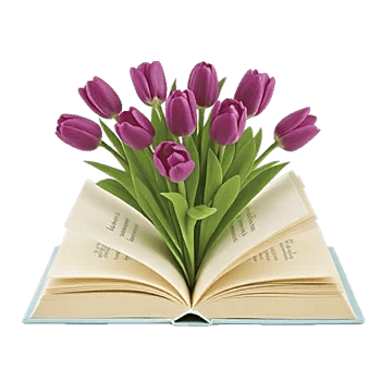 Velvet Tulip Display