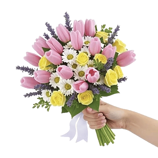 Blossom Harmony Display