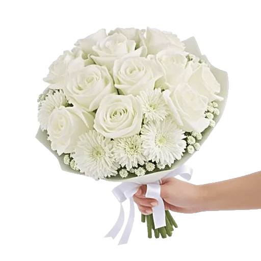 Minimalist White Orchids
