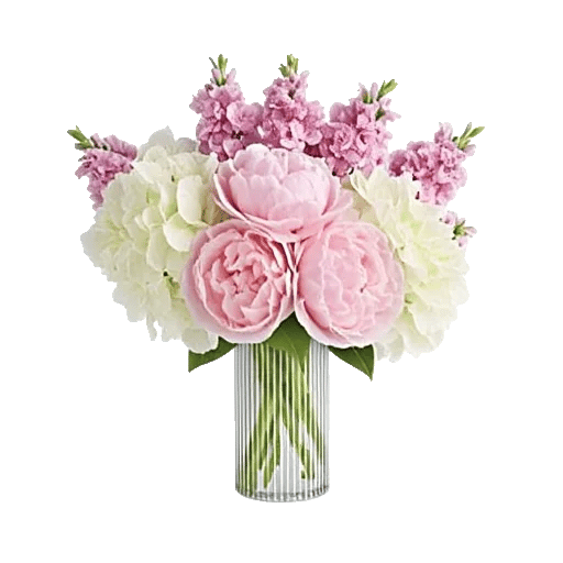 Petal Radiance Bliss