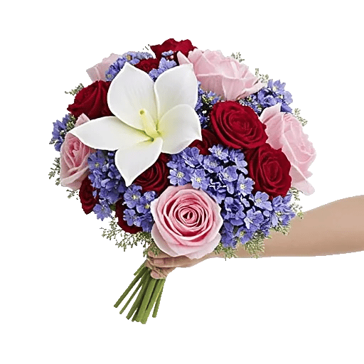 Petal Grace Harmony