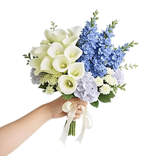 Elegant Calla Lilies