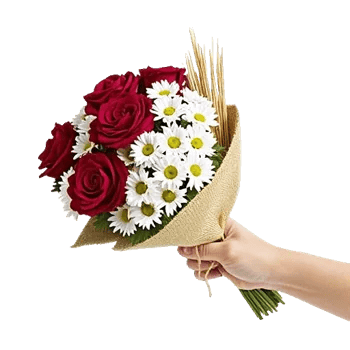 Crimson Rose Elegance
