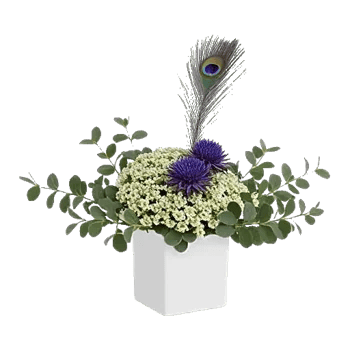 Minimalist White Orchids