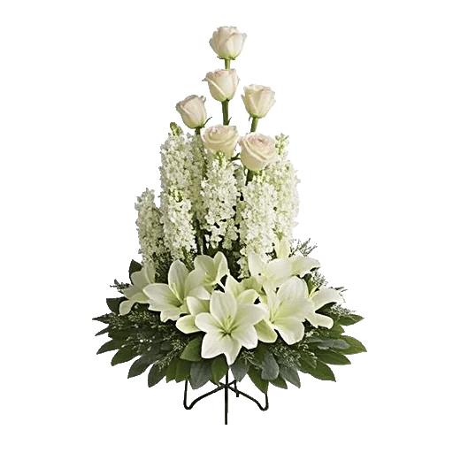 Ivory Blossom Radiance