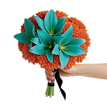 Silken Petal Array