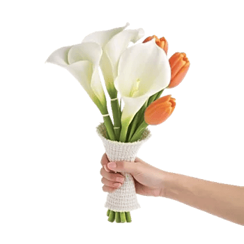 Elegant Calla Lilies