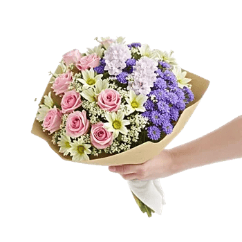 Pastel Pink Roses