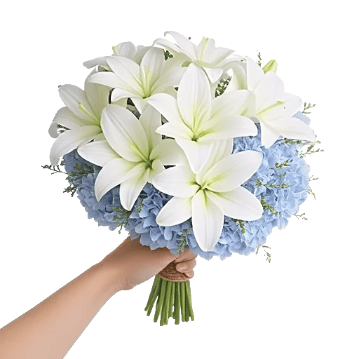 Serene Petal Harmony