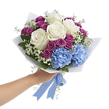 Serene Petal Harmony