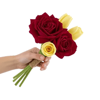 Crimson Rose Elegance