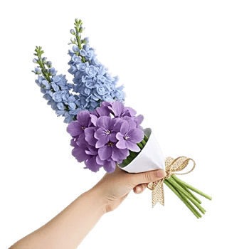 Blossom Petal Serenity