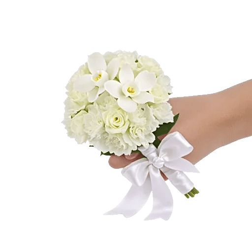 Minimalist White Orchids