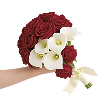 Delicate Petal Cascade