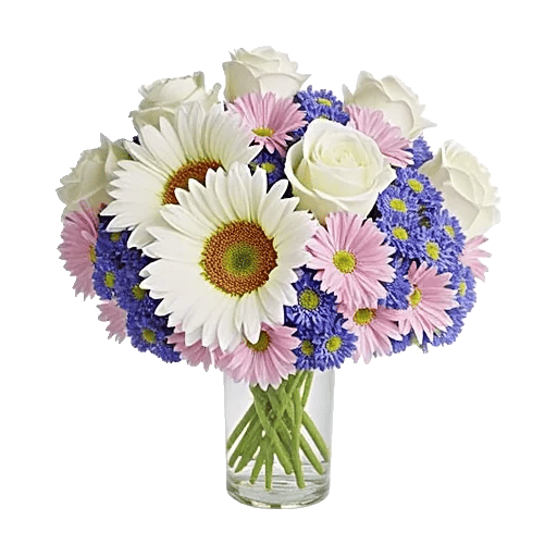 Ivory Blossom Radiance