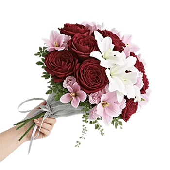 Delicate Petal Cascade