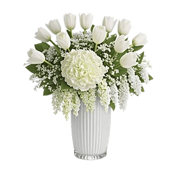 Ivory Blossom Radiance