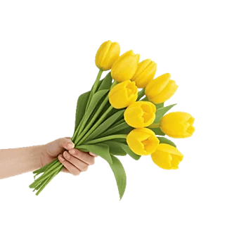 Blossom Harmony Display