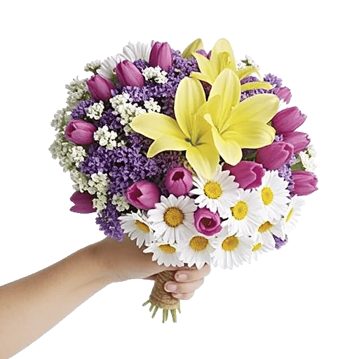 Ivory Blossom Radiance