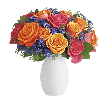 Petal Radiance Bliss