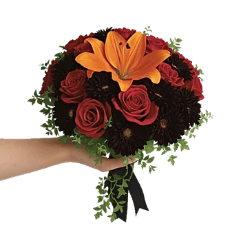 Crimson Rose Elegance