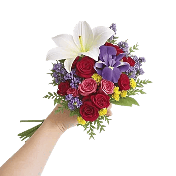 Ivory Blossom Radiance