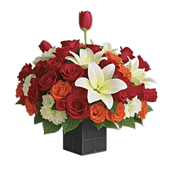 Radiant Rose Symphony