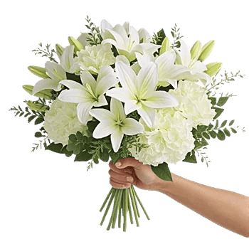 Graceful Lily Display