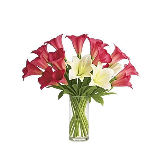 Elegant Calla Lilies