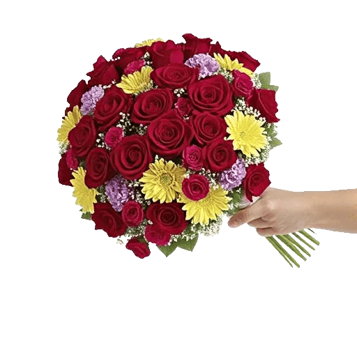Blushing Rose Symphony