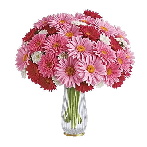 Petal Radiance Bliss