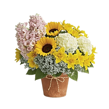 Blush Romantic Centerpiece