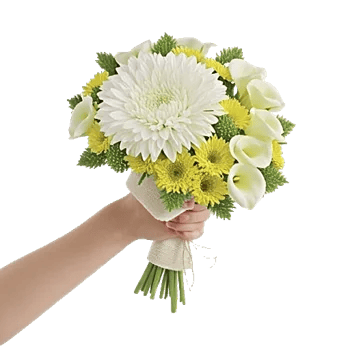 Ivory Garden Grace