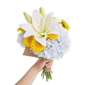 Ivory Blossom Radiance