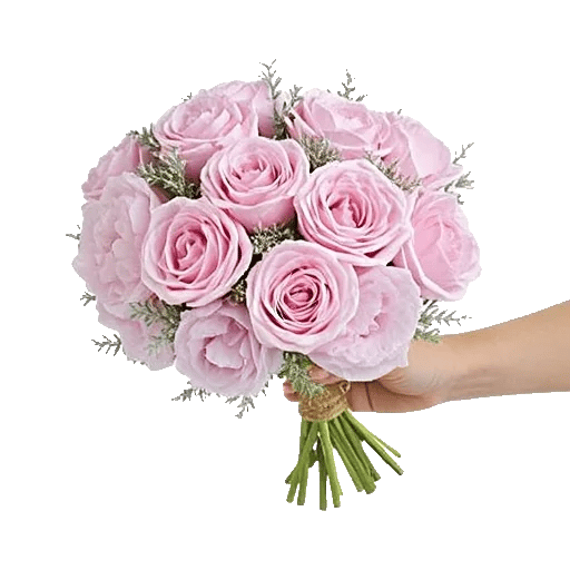 Pastel Pink Roses