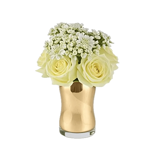 Ivory Blossom Radiance