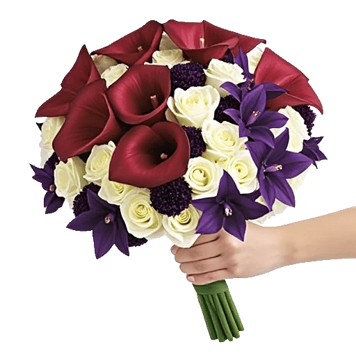 Elegant Calla Lilies