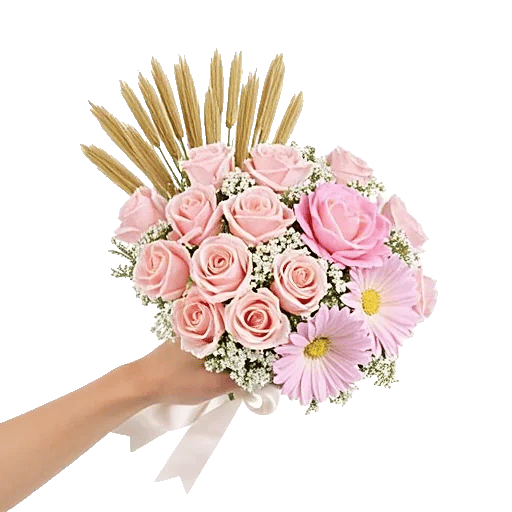 Pastel Pink Roses