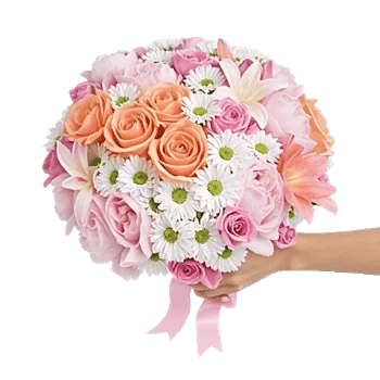 Pastel Pink Roses