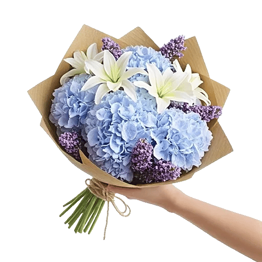 Serene Petal Harmony