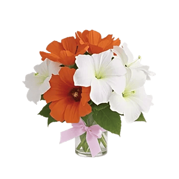 Blossom Glow Symphony