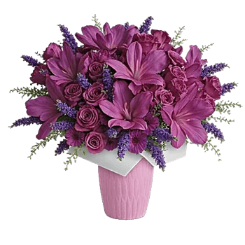 Honeyed Lilac Dream
