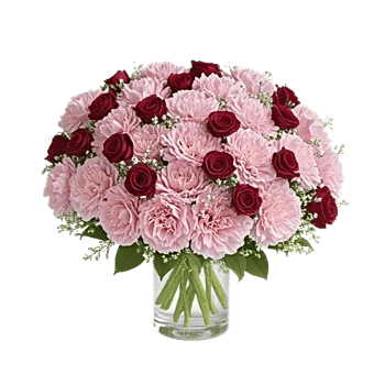 Pink Pastel Roses