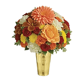 Petal Radiance Bliss