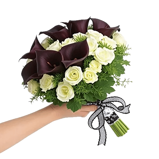 Elegant Calla Lilies