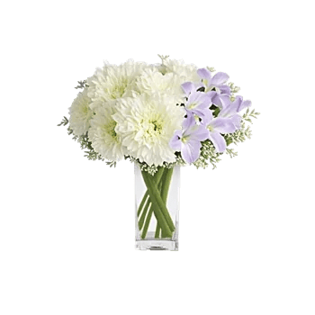 Delicate Petal Cascade