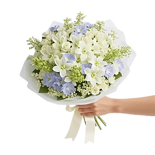 Blossom Harmony Display