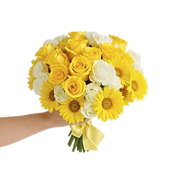 Petal Harmony Bliss