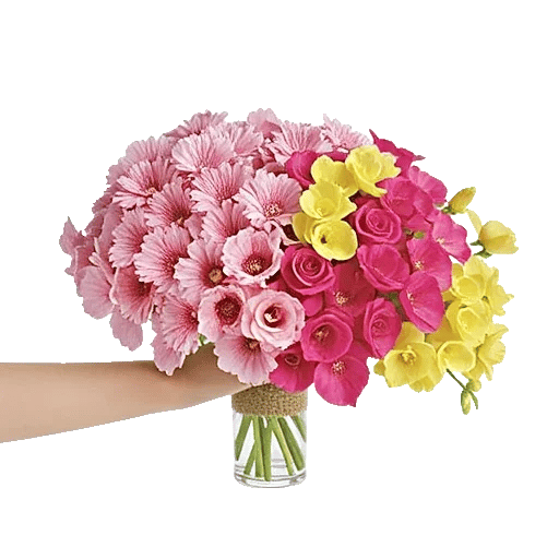 Blossom Grace Spread